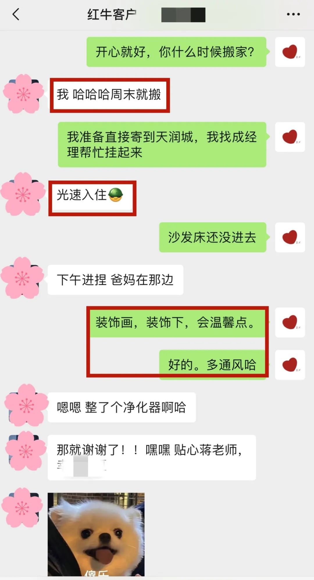 喜報(bào)｜金秋十月，收獲滿滿，紅牛裝飾再獲三面錦旗！05